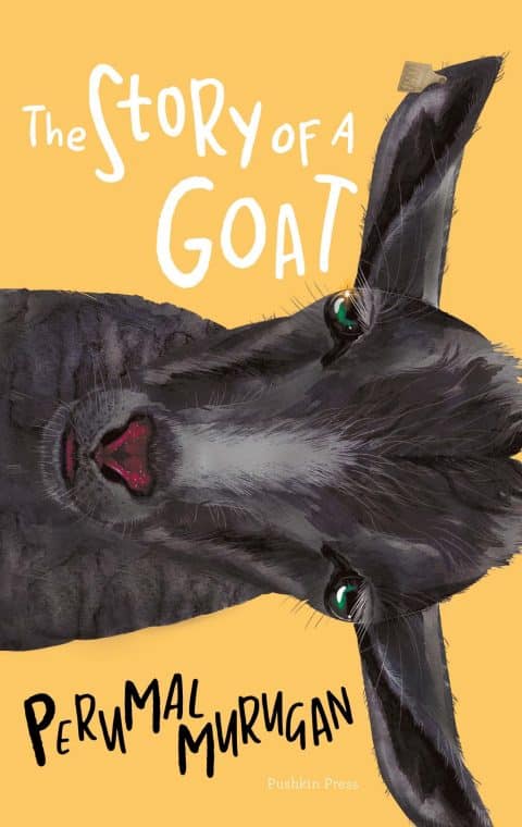 the-story-of-a-goat
