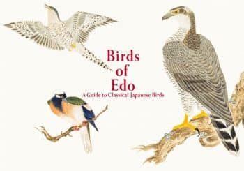 birds-of-edo